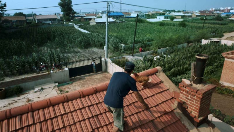 Wang Tuo, Smoke and Fire, 2018, single channel 4K video (color, sound), 31'18"