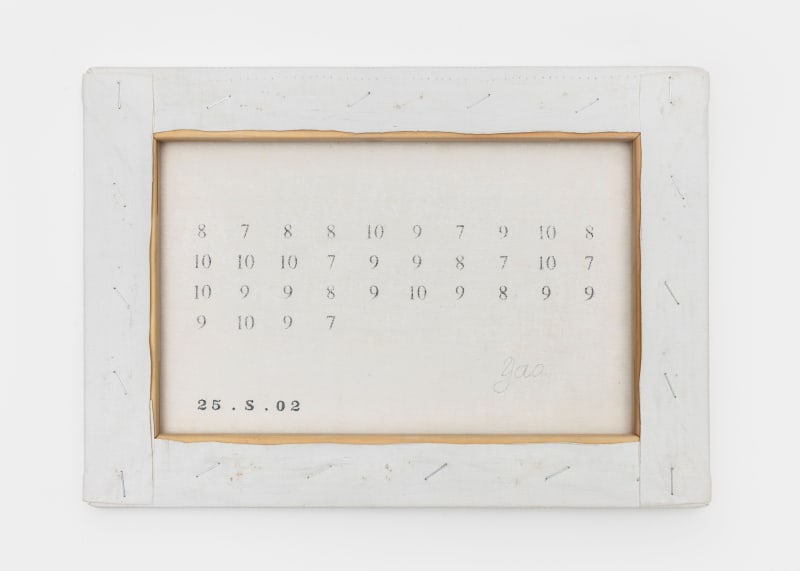 A Few Ordinary Parallel Lines, Zhao Yao