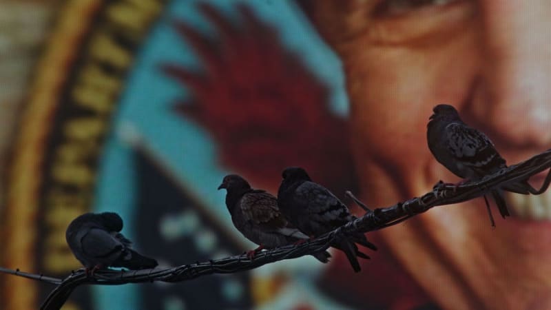 视频截帧:程然,信鸽,2016,单频高清视频,彩色/有声,5 分 53 秒,版数6 + 1 A.P.