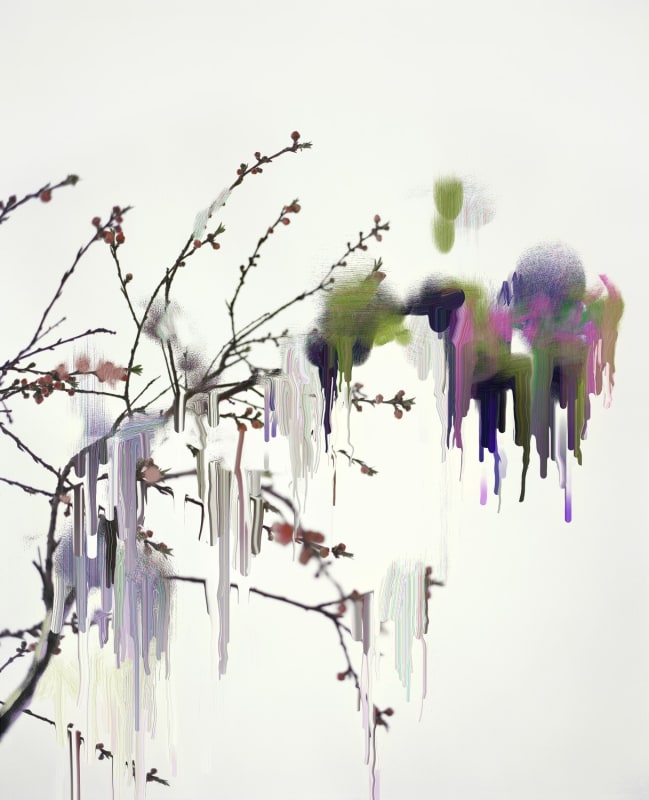 Sandra Kantanen, Untitled (Sakura 7) , 2004-19