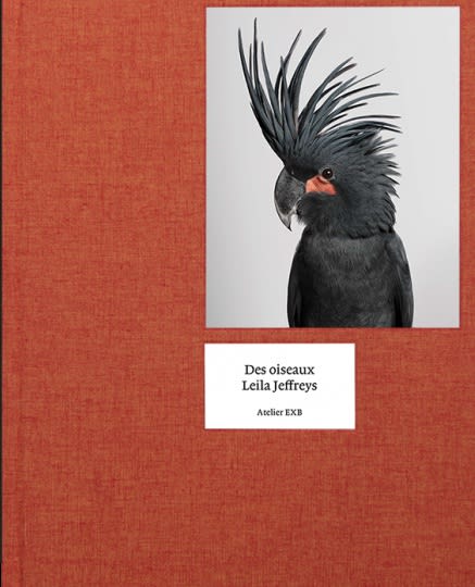 Lelia Jeffreys, Des Oiseaux