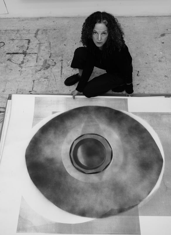 Lisa Sigal, Interrupted Shadow