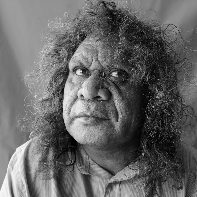 Joe Guymala is an acclaimed Indigenous Aboriginal Australian artist from a remote community in Western Arnhem Land Australia, who is currently being exhibited amongst his contemporary painters at the EXPO Chicago art fair by the Rebecca Hossack Gallery in