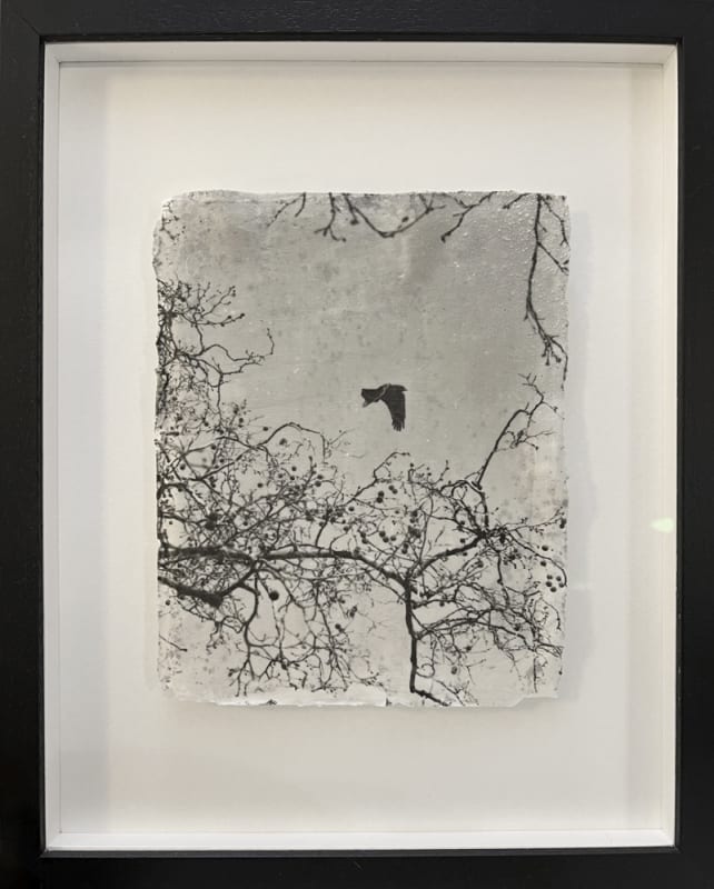 Luke White photograph available at Rebecca Hossack Art Gallery