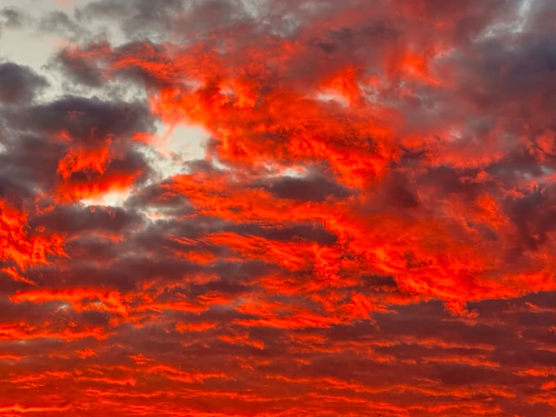 Raphael Avigdor , Both Sides Now