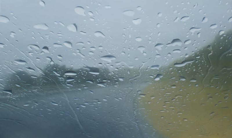 Esther Nienhuis, Saudade 50, 2015