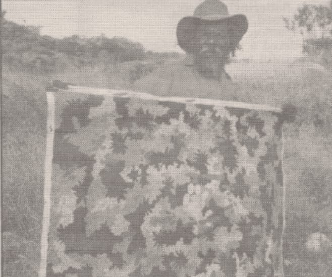 TNT Magazine Featuring Clifford Possum