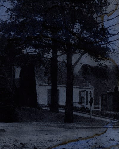 Redheaded Peckerwood