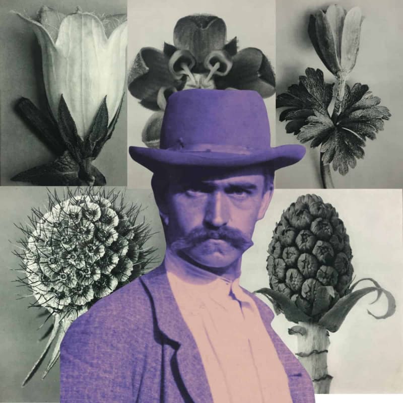 Why His Flower Photography Matters