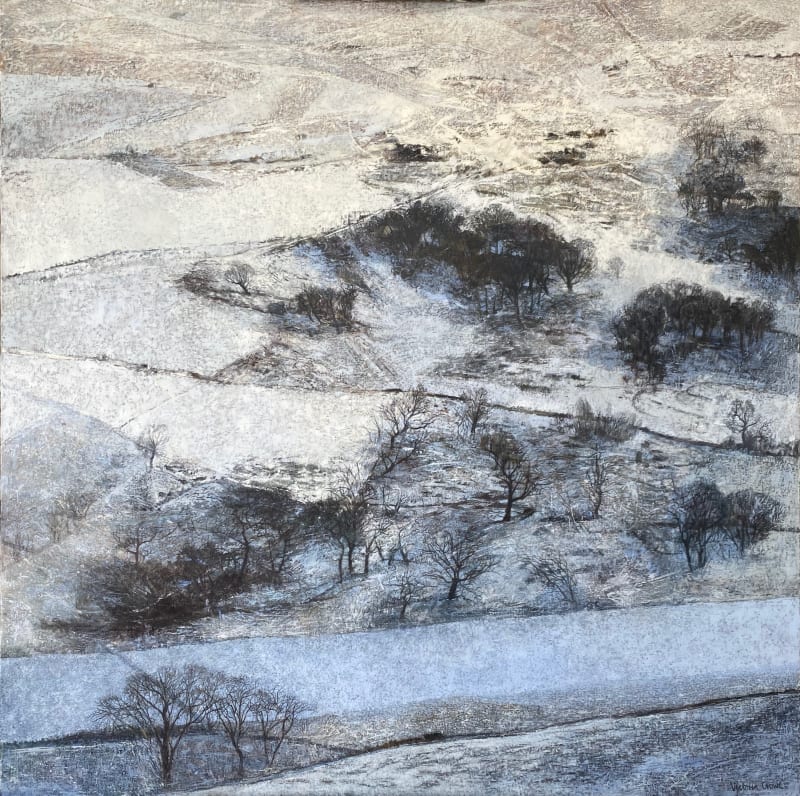 How the Snow Lay on the Hill