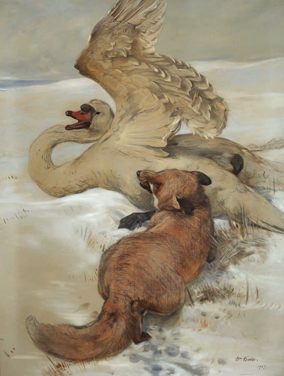 Fox Attacking Wounded Swan . RSA Diploma Collection