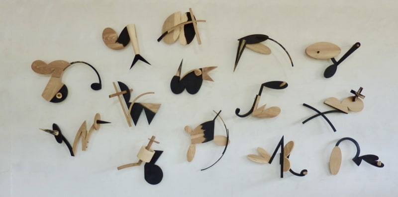 ENTOMOLOGY, ash, 5mx5m