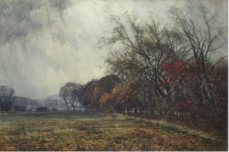 Chill November's Surly Blast . RSA Diploma Collection