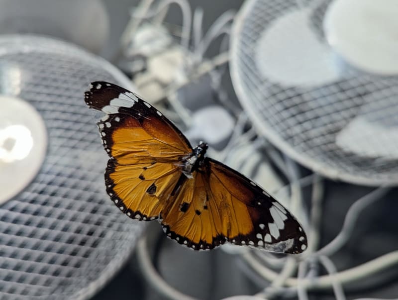 Tom Fairlamb, It Didn't Used To Be This Way