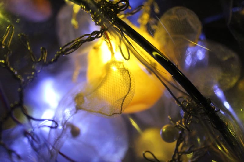 Gaia Tretmanis, Neither Running nor Carrying Love on my Shoulders (detail), installation