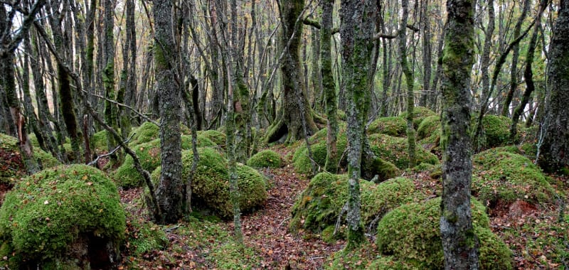Alexander and Susan Maris, Refugium (detail)
