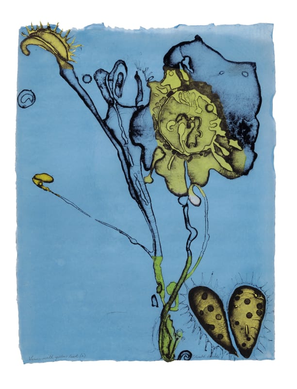 Elspeth Lamb, Paperworks