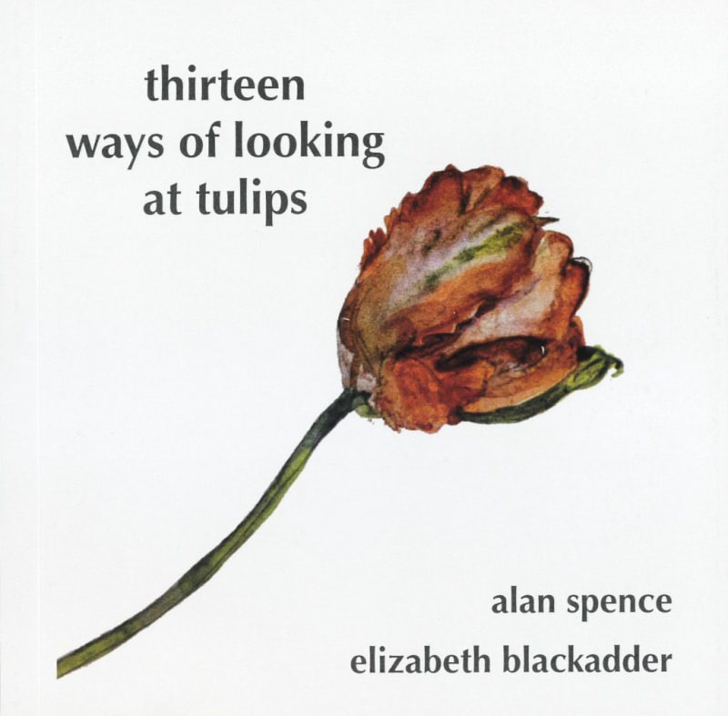 Thirteen ways of looking at Tulips