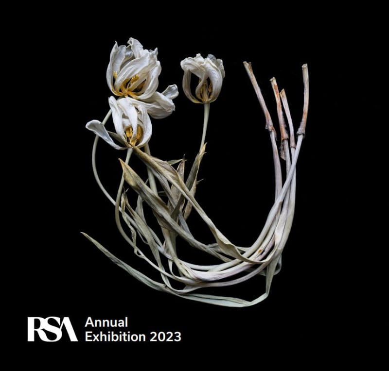 RSA Annual Exhibition 2023, Catalogue