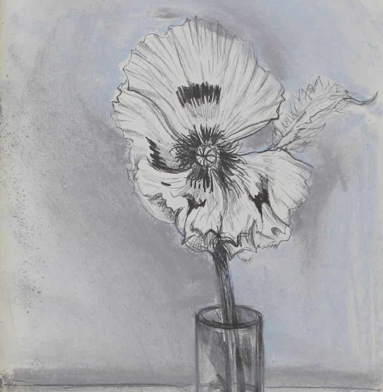 John Houston, Sketchbook