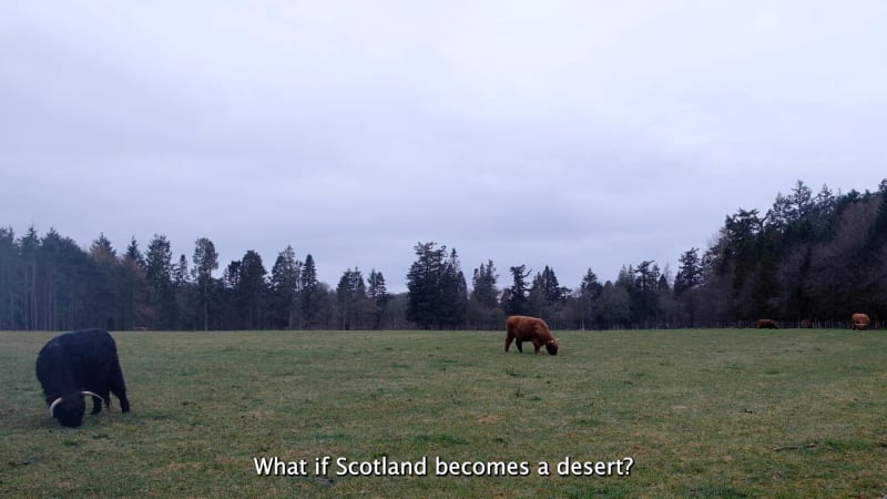 Rod Milne, What if Scotland becomes a desert? (film still)