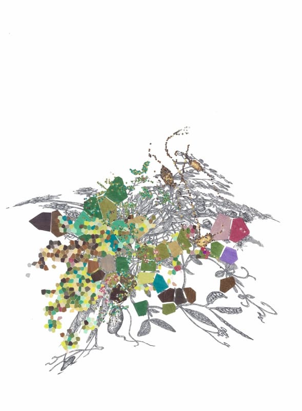 Artwork Image: Leigh Anne Lester, Lathlavasempdactyrusndulerviyloravumhiza tubestoetectmacurosuchasorumlatas L., 2013, graphite and color pencil on drafting film, 21.5 x 18 x 0