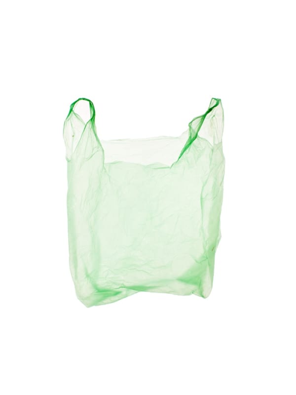 Artwork: Chuck Ramirez, Euro Bags: Green Light, 2009, Pigment Inkjet Print, 21 x 15.25" or 14.5 x 10.75", ed. of 6