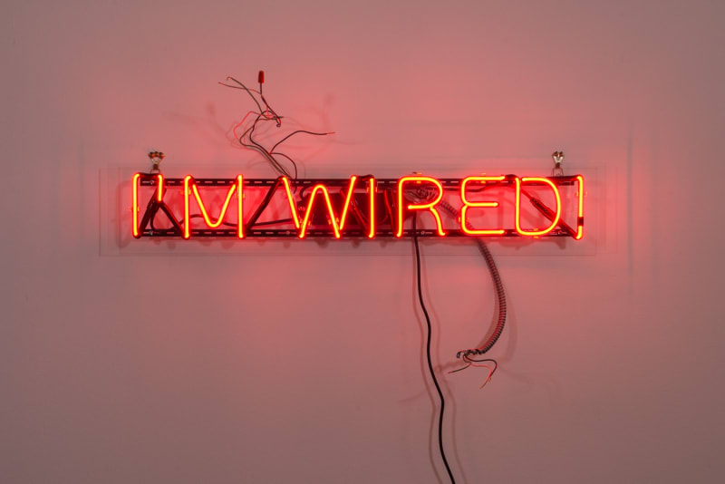 Artwork Image: Alejandro Diaz I'M WIRED, 2013 red neon 7 x 40 x 0 (2749)