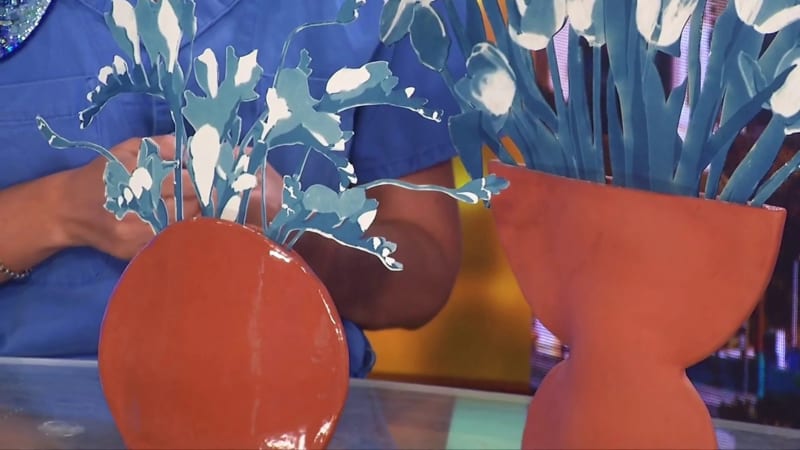 Daniela Oliver de Portillo, Hidden Blooms