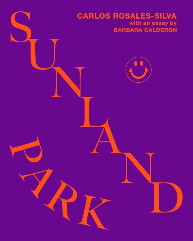 Carlos Rosales-Silva: Sunland Park I Ruiz-Healy Art, Essay by Barbara Calderón