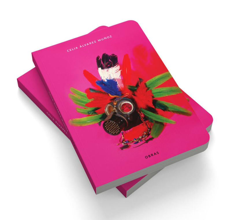 Celia Álvarez Muñoz: Obras, Art League Houston / Essay by Roberto Tejada