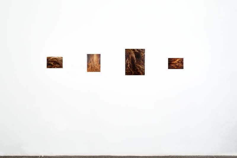 Caught in the Act, Ava Markle