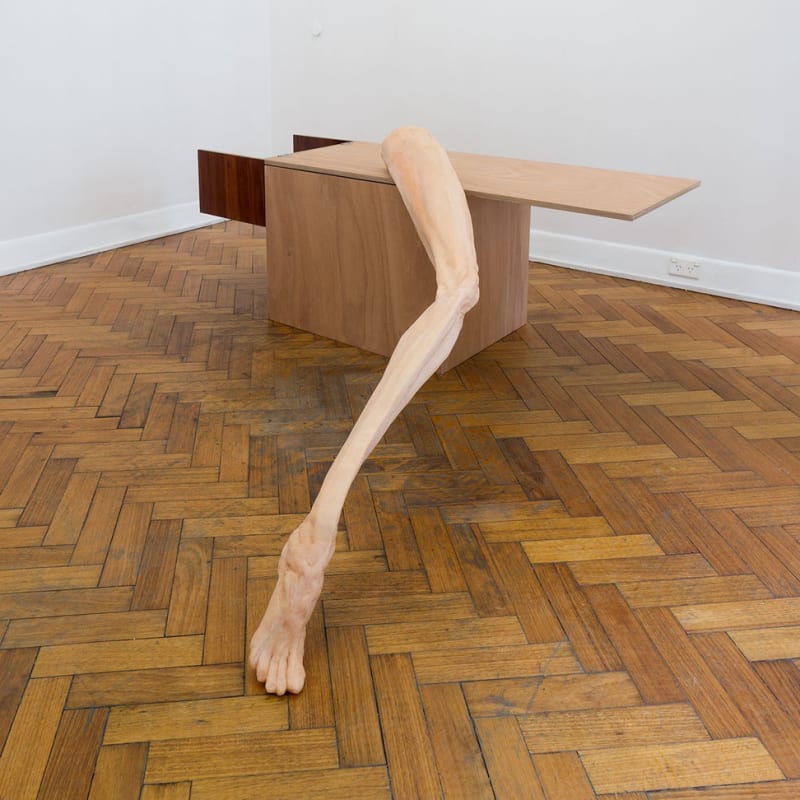 Cate Consandine, On the edge of an aligned surrender, 2015, wax, earth pigment, steel, pink marine ply, jarrah veneer. Photo: Christian Capurro