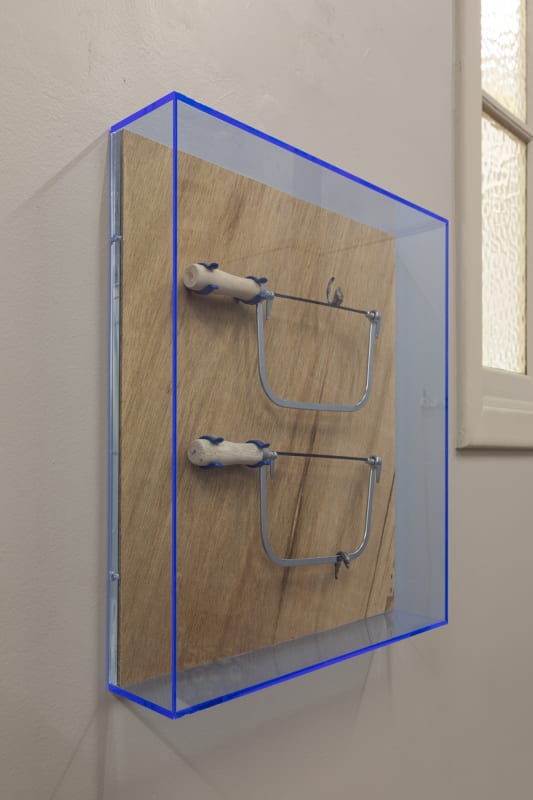 Susan Jacobs: Studio Works