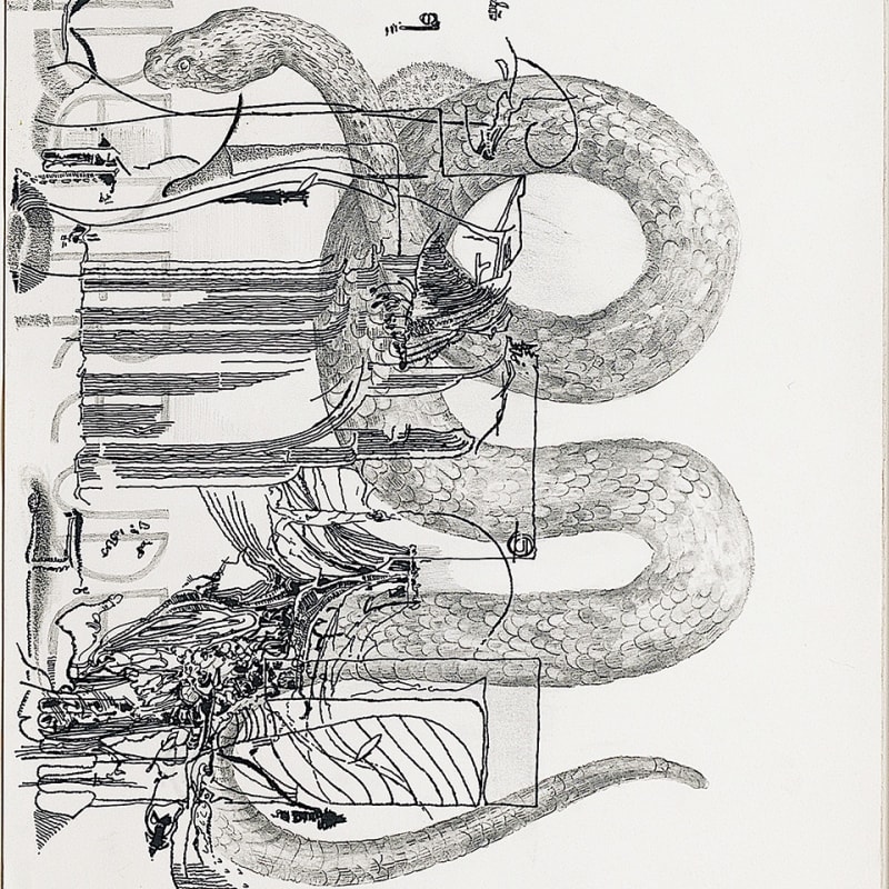 ZIlverster, Madeira Fernweh 2020-21 62 x 43 cm (detail), ink and pencil on Arches paper, custom wood frame