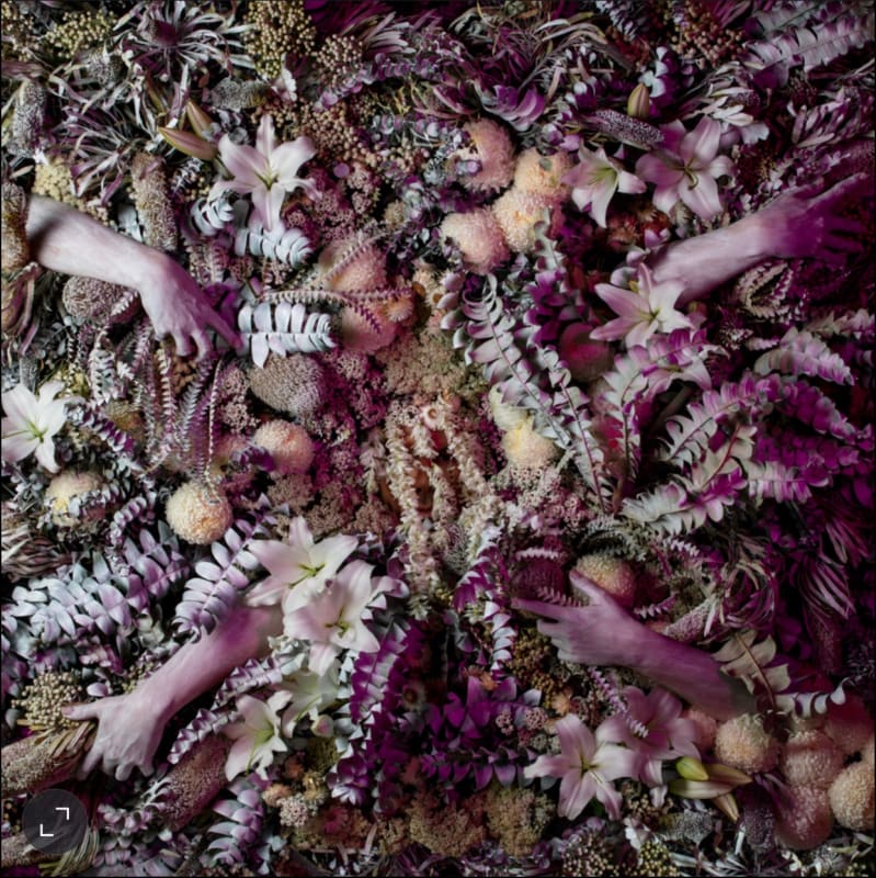 Christian Thompson AO, Being Human Human Being, 2022 c-type print on Fuji Metallic paper, Commissioned by Photo Australia for PHOTO 2022 International Festival of Photography