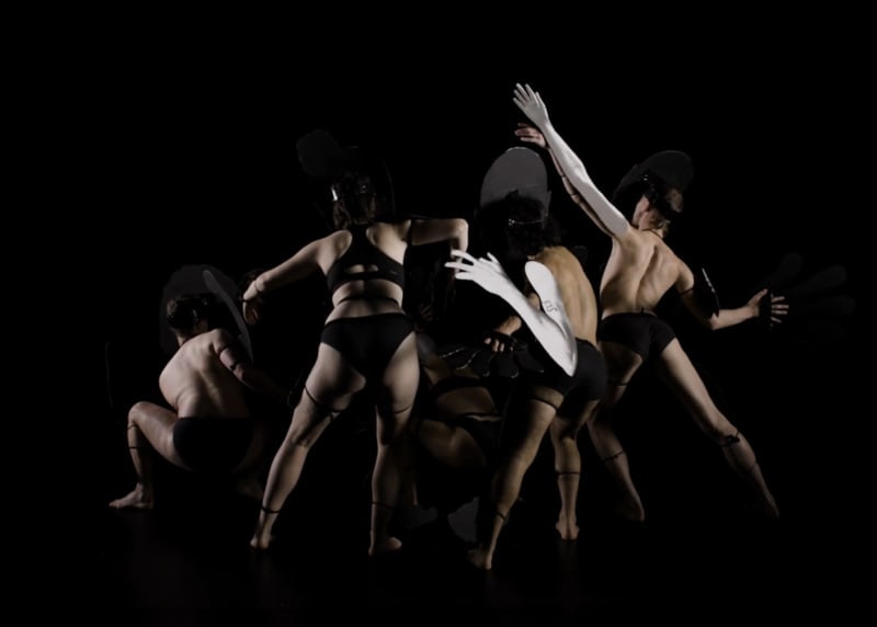 Jake Preval, Bloom 2024 (Back), Two-channel HD video, stereo sound 22:24 mins (looped) Edition of 3 plus AP