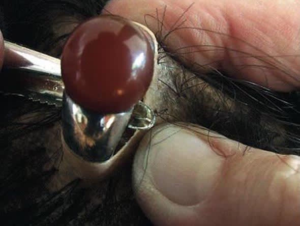 Lou Hubbard, Bore Me, 2007 (video still)