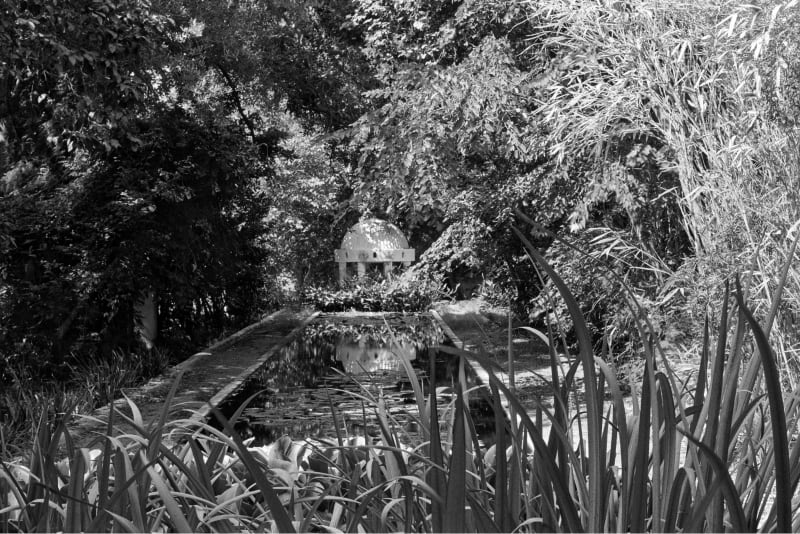 HORTUS, JELLEL GASTELI SOLO EXHIBITION