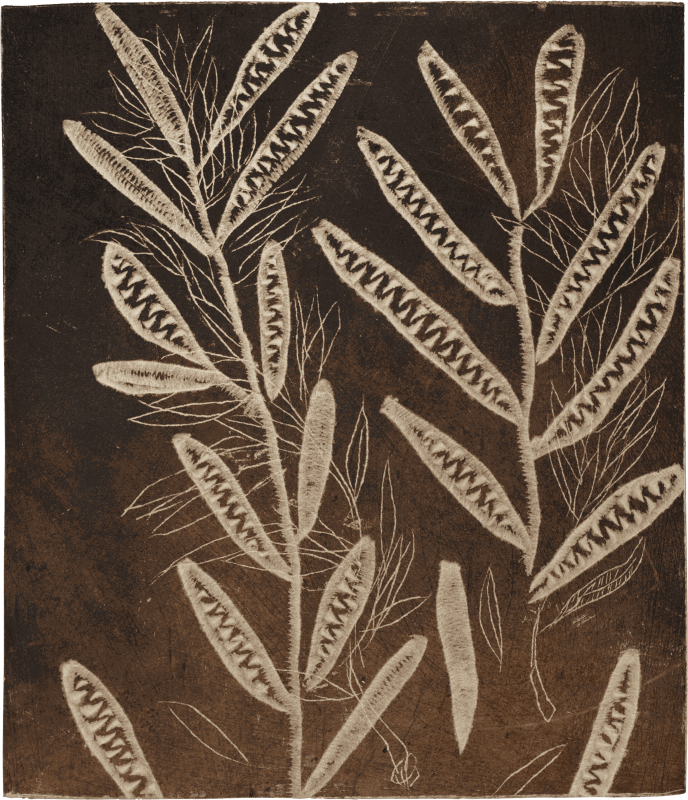 LES GRAINES NOIRES | Black Seeds | البذور السوداء, M'BAREK BOUHCHICHI SOLO EXHIBITION CURATED BY BEYA OTHMANI & OMAR BERRADA