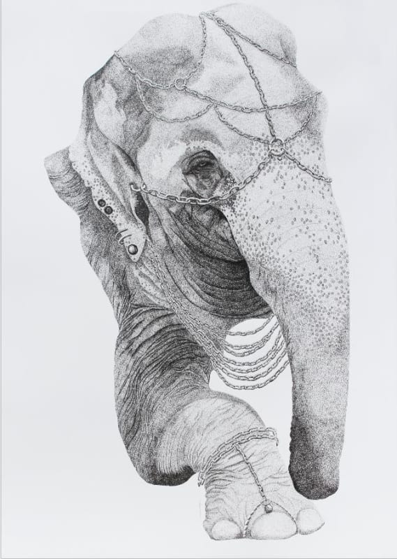 Prediction Extinction, Firi Rahman