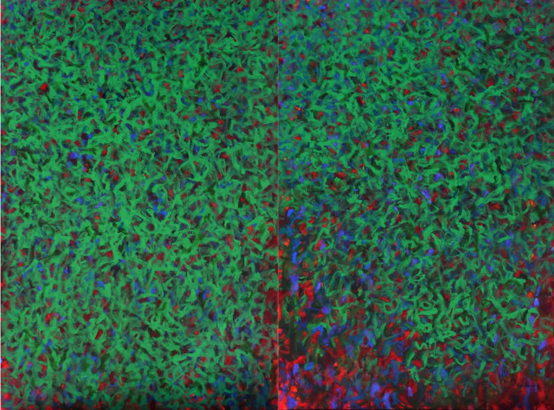 Komorebi , Ruwan Prasanna