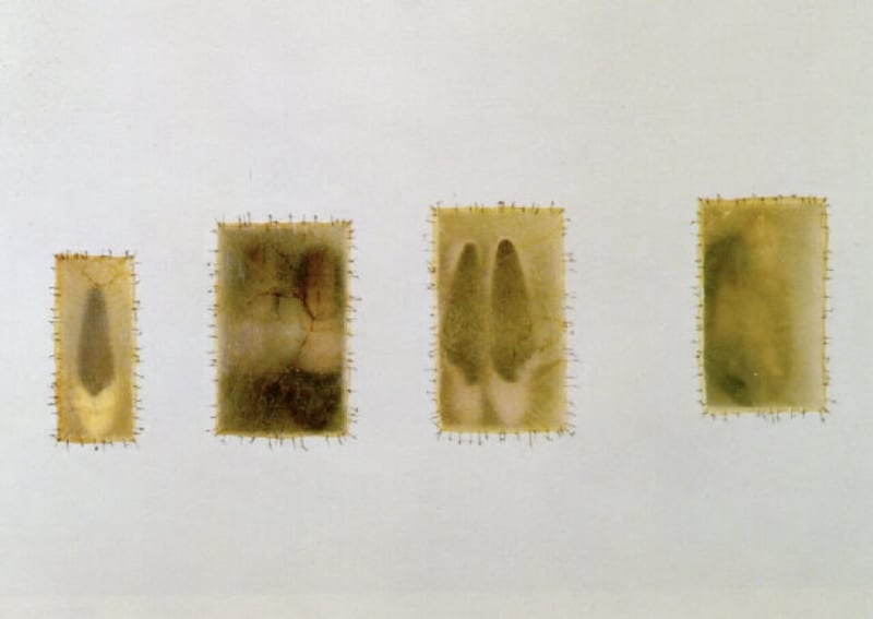 Doris Salcedo, Atrabiliarios, 1996. Drywall, shoes, cow bladder, and surgical thread, 47 x 83 1/16 inches (119.4 x 211 cm).