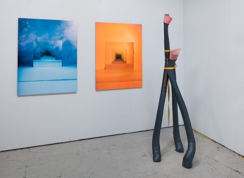 Theodore Boyer, Sarah Meyohas, and May Wilson, Art Los Angeles Contemporary, 2017