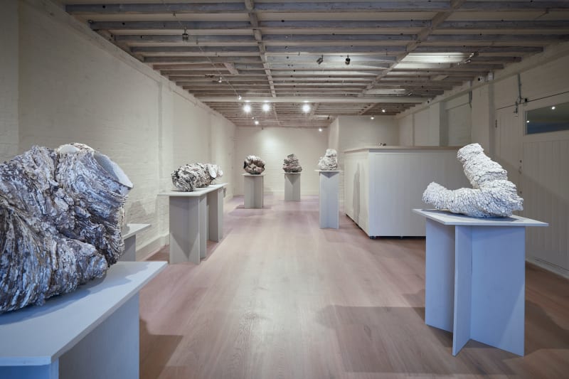 Luke Fuller : Terra - form, the debut solo show