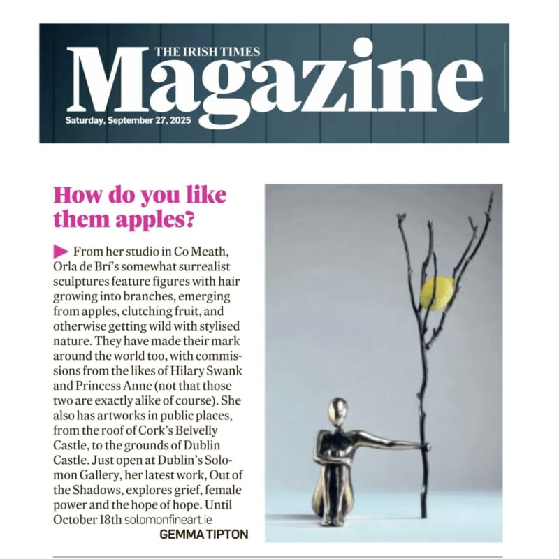Orla de Brí: Irish Times Weekend Magazine
