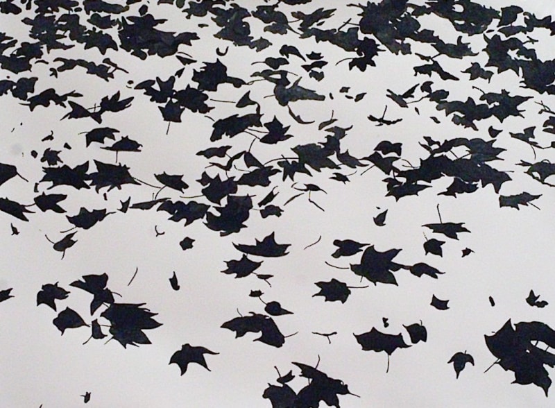 Courtyard Gallery, The National Botanic Garden of Wales, Carmarthen