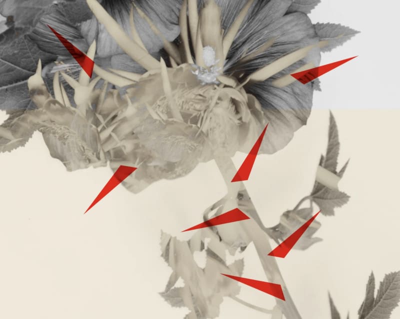 Tabari Artspace Presents Hazem Harb at Art Dubai 2022, Hazem Harb