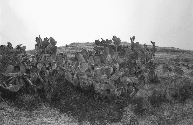 Samah Shihadi and Michael Halak During Art Basel