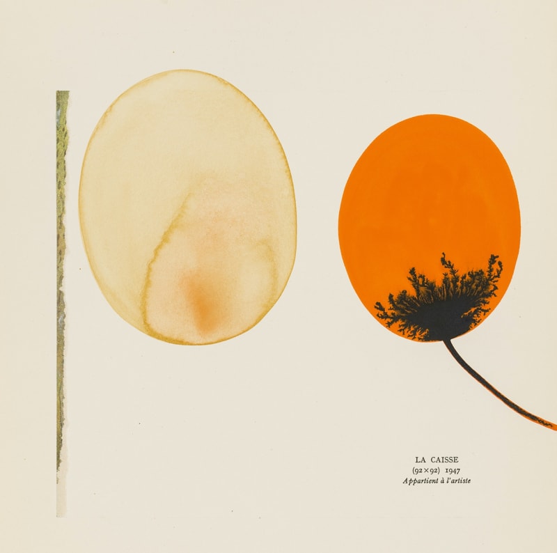 image of collage